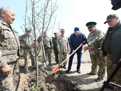 
                    300 яблонь в честь Сагадата Нурмагамбетова посадили в Алматы
                