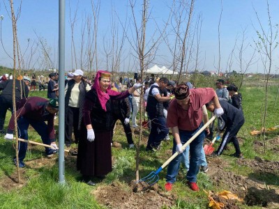 
                    «Алматы — наш общий дом»: в Наурызбайском районе посадили яблони и карагачи
                