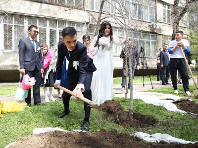 
                    В День Козы-Корпеша и Баян Сулу в Медеуском районе посадили деревья
                