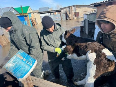
                    Роман Скляр: На эвакуацию североказахстанцев есть два дня
                