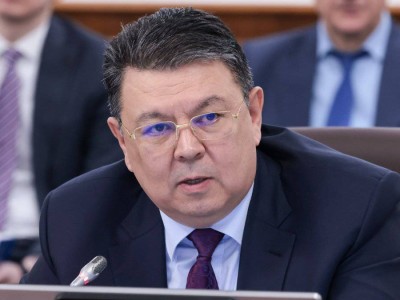 
                    Какие вопросы будет курировать новый вице-премьер Бозумбаев
                