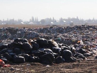 
                    Более 30 фактов пожара на свалках пытались скрыть операторы ТБО
                
