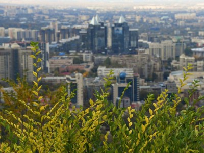 
                    Бюджет Алматы в 2024 году сохраняет социальную ориентированность
                