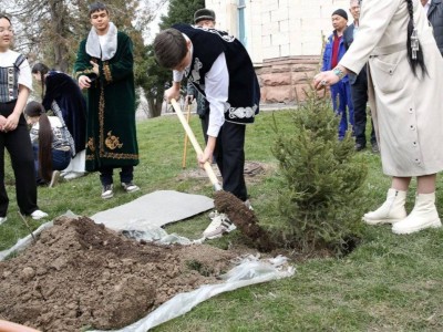 
                    День обновления отметили посадками деревьев в Алматы
                