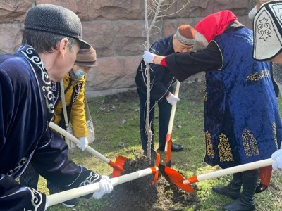 
                    Алматинские аксакалы посадили деревья возле Казахстанско-Британского университета
                