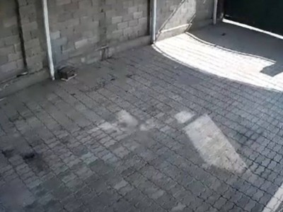 
                    Землетрясение в Алматы зафиксировала камера видеонаблюдения одного из домов
                
