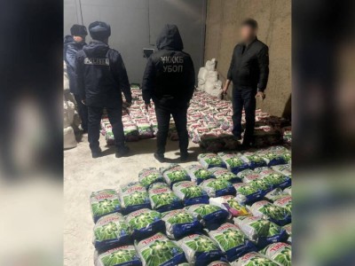 
                    Подпольное производство стирального порошка прикрыли в Шымкенте
                