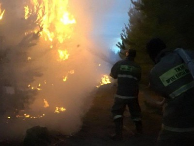 
                    Меры по борьбе с лесными пожарами обсудили в Мажилисе
                