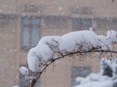 
                    В Алматы ожидается выпадение сильного снега высотой до 20 см
                