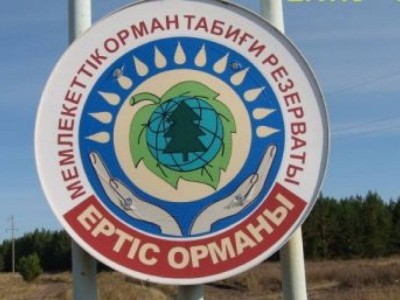 
                    Антикор задержал руководителя «Ертіс орманы»
                