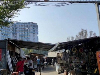 
                    В Алматы, согласно новым ПДП, озеленят территории базаров и рынков
                