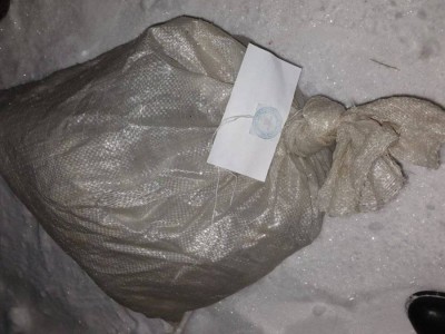 
                    Застрелил косулю: расследование начато в отношении сельчанина
                