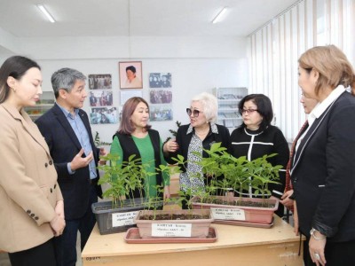
                    Ученые нашли способ очистить воздух Алматы
                