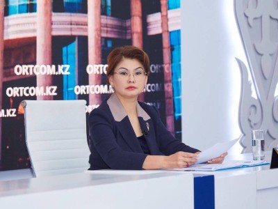 
                    Аида Балаева: Совершенствуется законодательство в медиасфере
                