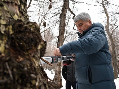 
                    Специалисты рассказали о ходе лесовосстановительных работ в роще Баума
                