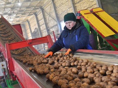 
                    В Правительстве Казахстана подвели итоги в сфере АПК и продовольственной безопасности
                