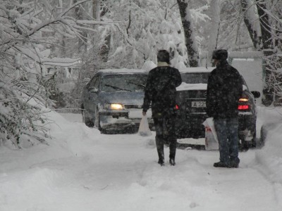 
                    215 снегозаносимых участков обнаружены на автодорогах Павлодарской области
                