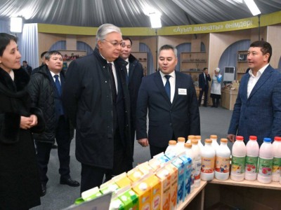 
                    Президент ознакомился с реализацией программы «Ауыл аманаты»
                