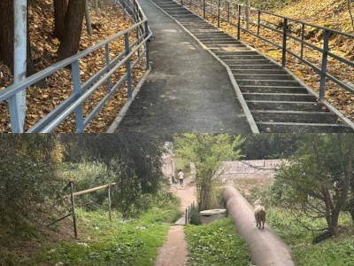 
                    Три новых пешеходных моста построили в Алматы
                