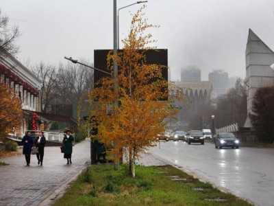 
                    Последний день осени в Алматы
                