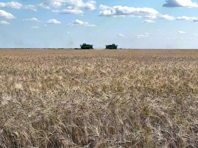 
                    Погода помешала собрать урожай в Костанайской области
                