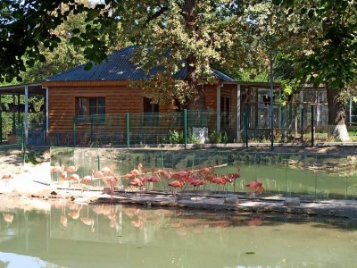 
                    Алматинский зоопарк отметил день рождения
                