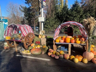 
                    В Алматы пройдет расширенная сельскохозяйственная ярмарка фермеров Восточно-Казахстанской области
                