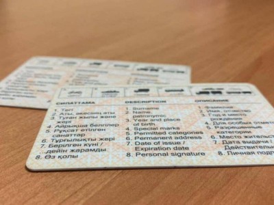 
                    Глава Минздрава объяснила предложение по ограничению выдачи водительских прав
                