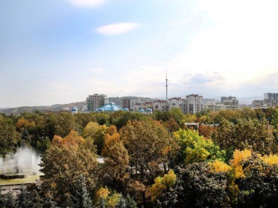 
                    В Алматы успешно реализуются крупные проекты в рамках ГЧП
                