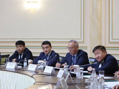 
                    Cенаторы обсудили в Алматы ход реализации поручений Президента
                
