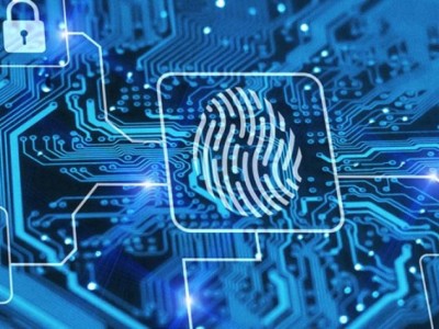 
                    Президента проинформировали о мерах по обеспечению информационной безопасности
                