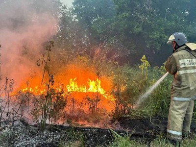 
                    Сколько миллиардов тратит Казахстан на борьбу с лесными пожарами
                