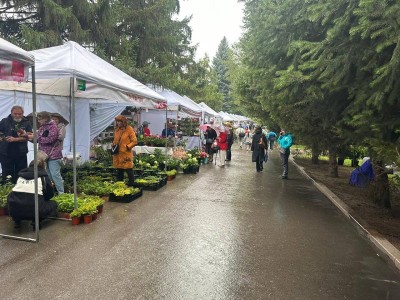 
                    В Алматы проходит международный фестиваль садов и цветов
                