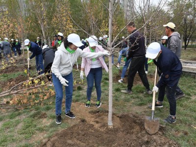 
                    298 тысяч деревьев высадят осенью в Алматы
                