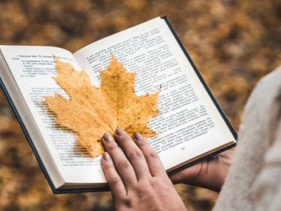 
                    Как в Алматы пройдет книжный фестиваль Kitap Fest Almaty 2023
                