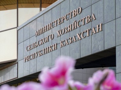 
                    Айдарбек Сапаров назначен министром сельского хозяйства РК
                