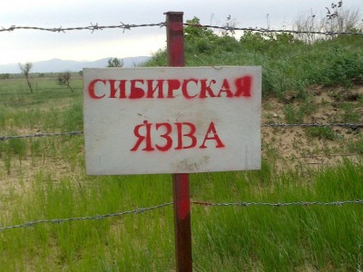 
                    Вспышку сибирской язвы обнаружили на севере Казахстана
                