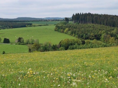 
                    Более 8 млн гектаров сельхозземель вернули государству
                
