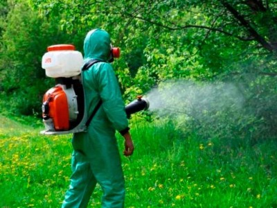 
                    Обработка зеленых насаждений от вредителей проводится в Алматы
                