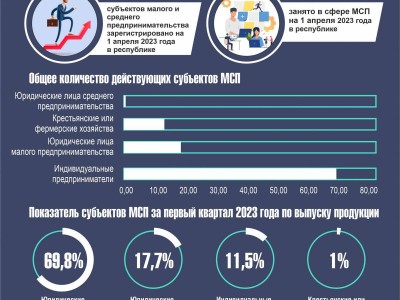 
                    Сколько казахстанцев вовлечено в МСБ
                