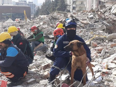 
                    Гордость спасателей: когда Аксель выходит на поиски, ему нет равных
                