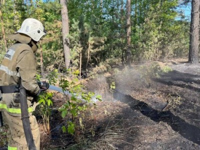 
                    Лесной пожар в области Абай ликвидирован
                