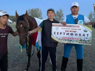 
                    Скакун из Шетского района победил в областной байге
                