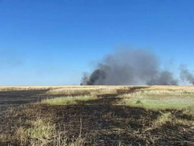 
                    В Коргалжынском заповеднике продолжают тушить возгорание камыша
                