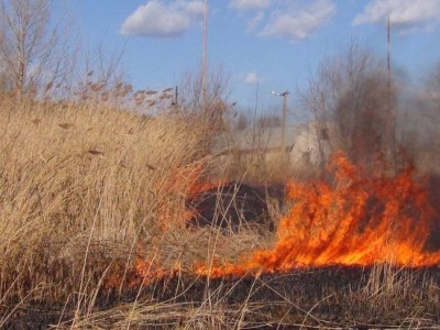 
                    Загорание сухостоя ликвидировано в Туркестанской области
                