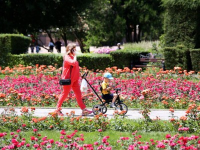 
                    Ослабление жары прогнозируют синоптики
                