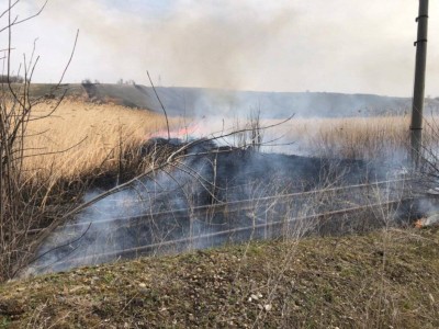 
                    Загорание камыша в Алматинской области ликвидировано
                