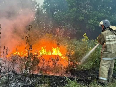 
                    Подозреваемых по делу о лесном пожаре в Абайской области поместили под домашний арест
                