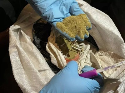 
                    Более 100 кг марихуаны изъяли полицейские из подвала в Петропавловске
                