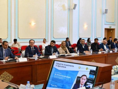 
                    Минсельхоз рассмотрит возможности исламского финансирования
                